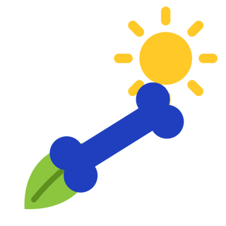 Vitamin D3 + K2